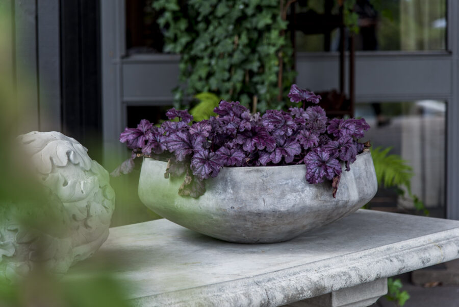 Blommor vid Arkens entré