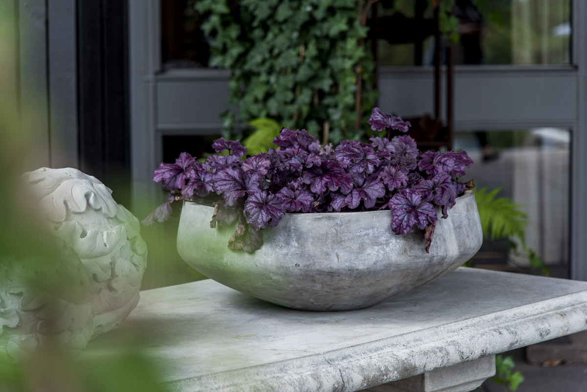 Blommor vid Arkens entré
