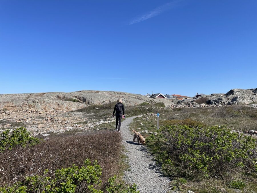 ÖLUFFA I GÖTEBORGS SKÄRGÅRD