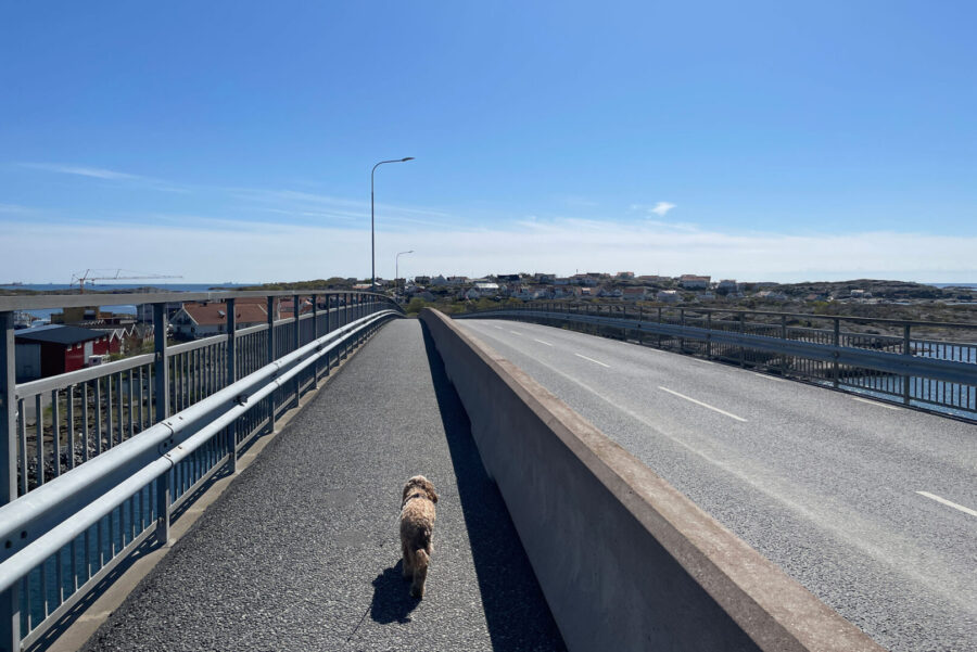 bron från hönö till fotö