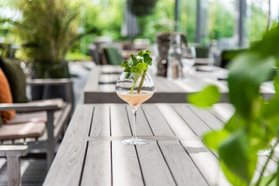 DRINKRECEPT - RABARBERCOCKTAIL