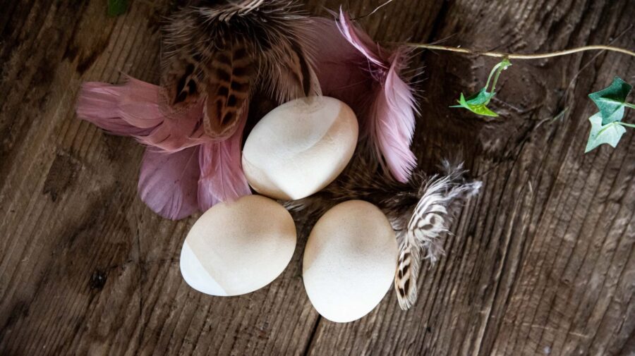 FÄRGA ÄGG NATURLIGT