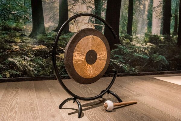 gong i aktivitetsrum på art garden spa