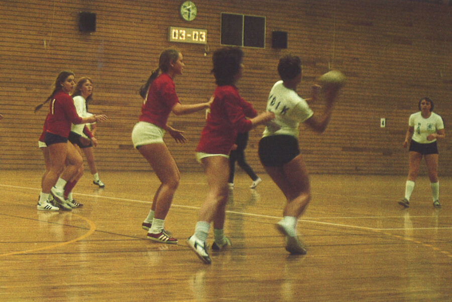 handball on the ark
