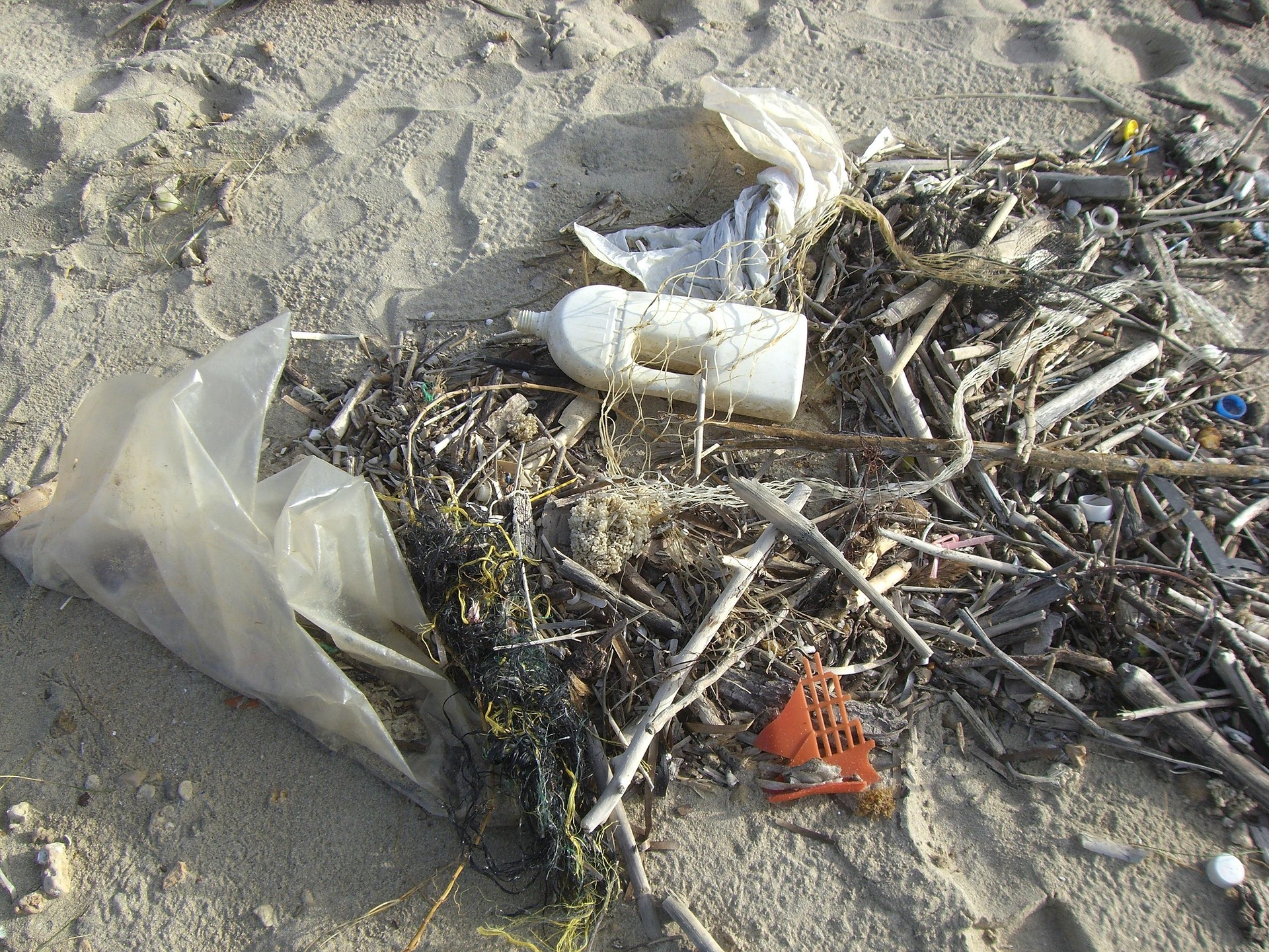 Arken Hotel & CleanSea rensar skräp från stranden